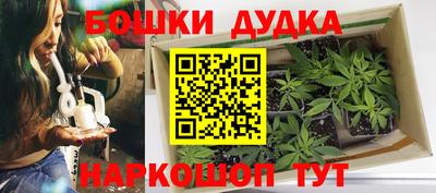 индика Пушкино
