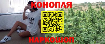 индика Пушкино