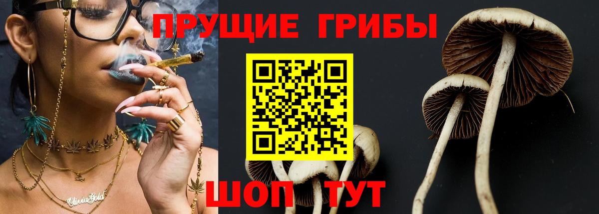 Галлюциногенные грибы MAGIC MUSHROOMS  Псилоцибиновые грибы Cubensis  Вход с VPN  Скопин 